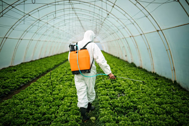 Best Pest Inspection Near Me  in Harb, OR