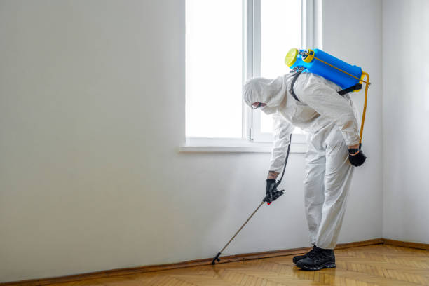 Insect Control in Harbor, OR