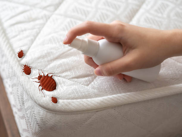 Best Insect Control  in Harb, OR