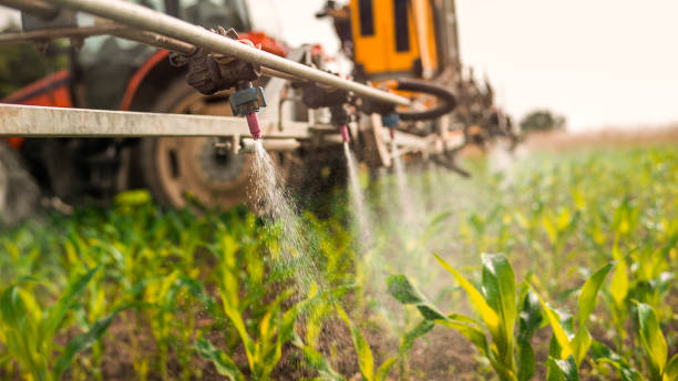 Best Mosquito Control Services  in Harb, OR