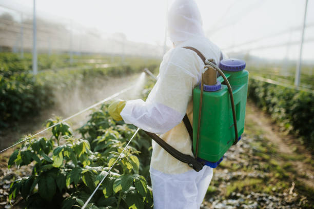 Best Pest Inspection Near Me  in Harb, OR